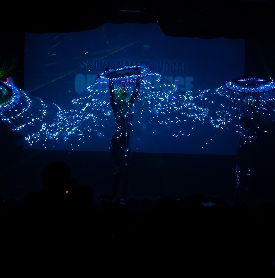 Светодиодное лазерное шоу