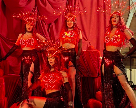 Световое шоу LADIES IN RED