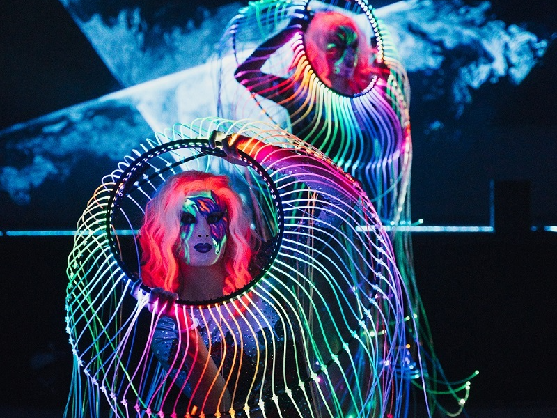 Световое шоу НОЧНЫЕ ЦВЕТЫ